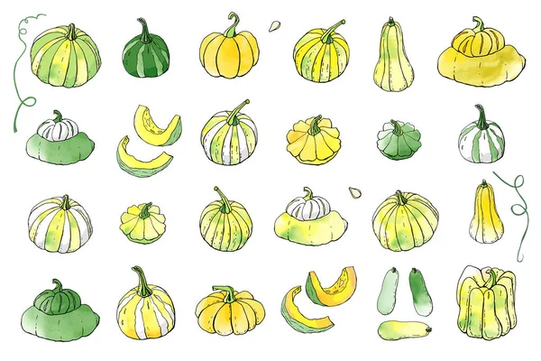 Sarı yeşil sonbahar kabakkoleksiyonu. Sonbahar hasadı. Vektör stok seti. Suluboya doku ile sevimli karikatürler. Cadılar Bayramı, Şükran Günü. Yemek geçmişi. Elle çizilmiş tasarım elemanları. 