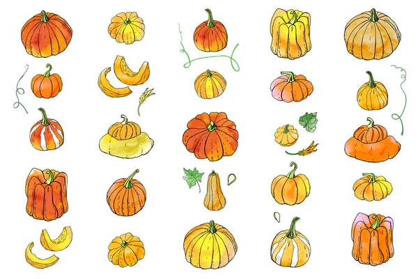 Sarı turuncu sonbahar kabakkoleksiyonu. Sonbahar hasadı. Vektör stok seti. Suluboya doku ile sevimli karikatürler. Cadılar Bayramı, Şükran Günü. Yemek geçmişi. Elle çizilmiş tasarım elemanları. 
