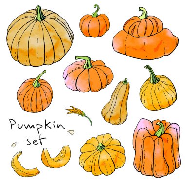 Parlak turuncu sonbahar kabakkoleksiyonu. Sonbahar hasadı. Vektör stok seti. Suluboya doku ile sevimli karikatürler. Cadılar Bayramı, Şükran Günü. Yemek geçmişi. Elle çizilmiş tasarım elemanları. 