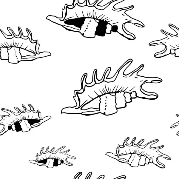 Коллекция Чернил Морских Раковин Белом Фоне Бесшовный Шаблон Бесконечная Текстура — стоковый вектор