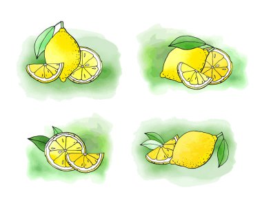 Limonların vektör çizimi, limon çizimi
