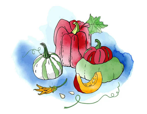 カボチャのベクトルイラスト 野菜料理 感謝祭とハロウィン — ストックベクタ