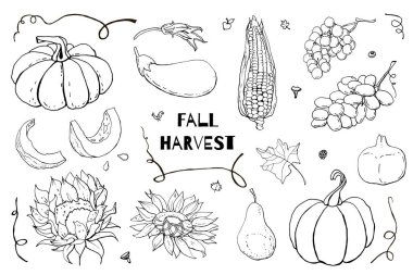 Sonbahar karalamaları koleksiyonu. Sonbahar hasadı. Vektör stoğu ayarlandı. Kartpostallar, selamlar, kartlar, logolar, boyama kitabı, basılı malzemeler için sevimli simgeler. Yemek arkaplanı. El çizimi tasarım elemanları. 