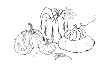 Sonbahar balkabağı karalamaları koleksiyonu. Sonbahar hasadı. Vektör ayarlandı. Kartpostallar, selamlar, kartlar, logolar, boyama kitabı için sevimli simgeler. Yemek arkaplanı. El yapımı tasarım elementleri. Cadılar Bayramı, Şükran Günü.