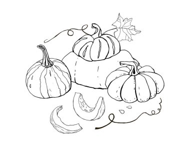 Sonbahar balkabağı karalamaları koleksiyonu. Sonbahar hasadı. Vektör ayarlandı. Kartpostallar, selamlar, kartlar, logolar, boyama kitabı için sevimli simgeler. Yemek arkaplanı. El yapımı tasarım elementleri. Cadılar Bayramı, Şükran Günü.