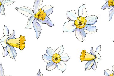 Çiçek açan Narcissus çiçeklerinin vektör çizimi, çiçek arkaplanı 