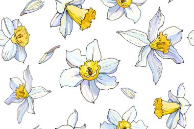 Çiçek açan Narcissus çiçeklerinin vektör çizimi, çiçek arkaplanı 