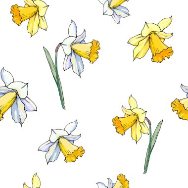 Çiçek açan Narcissus çiçeklerinin vektör çizimi, çiçek arkaplanı 