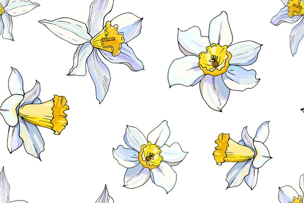 Çiçek açan Narcissus çiçeklerinin vektör çizimi, çiçek arkaplanı 