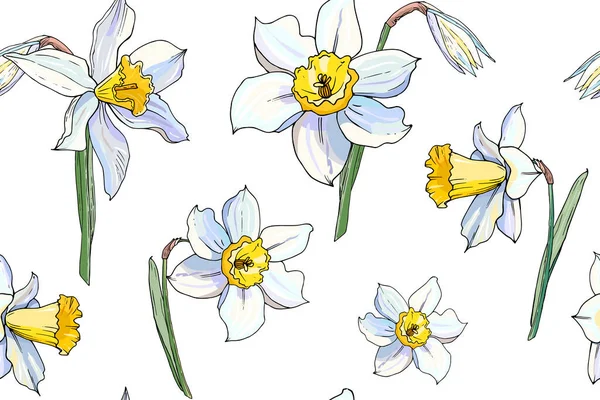 Vektor Illustration Der Blühenden Narzissenblumen Gesetzt Floraler Hintergrund — Stockvektor