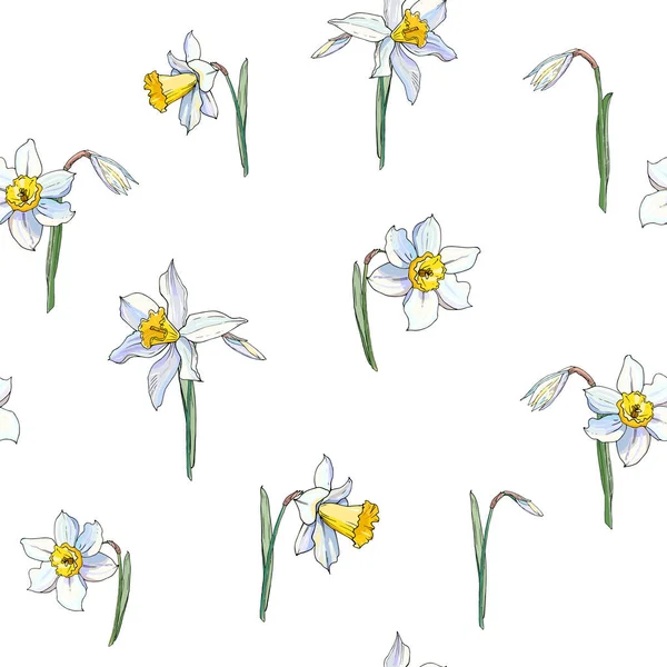 Vector Illustratie Van Bloeiende Narcissen Bloemen Set Bloemen Achtergrond — Stockvector