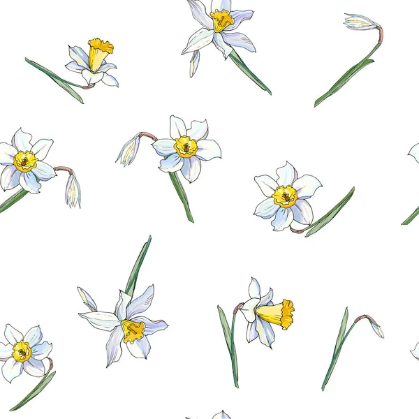Ilustração Vetorial Flor Narciso Flores Conjunto Fundo Floral —  Vetores de Stock