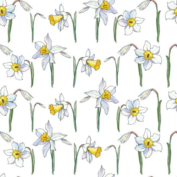 Ilustração Vetorial Flor Narciso Flores Conjunto Fundo Floral —  Vetores de Stock