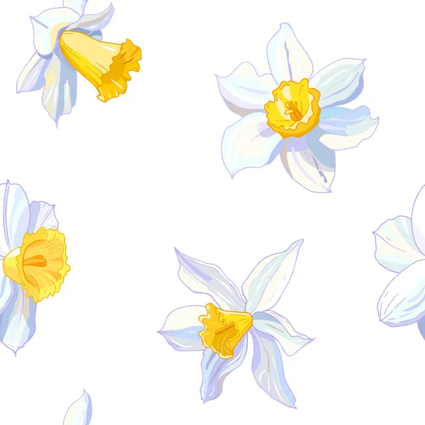 盛开的水仙花集 花卉背景的病媒图解 — 图库矢量图片