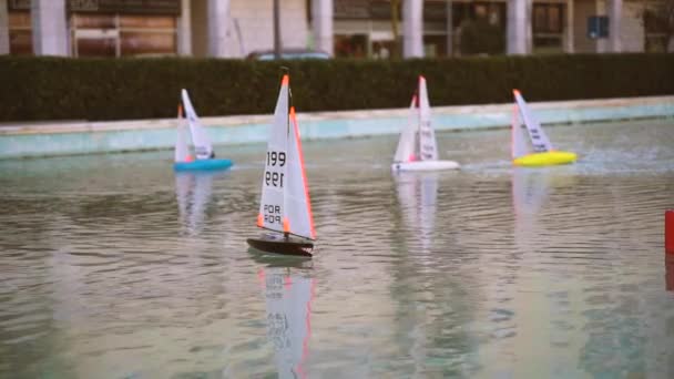 Kleine Segel-Spielzeugboote Rennen. Mini ferngesteuerte Teich-Segelboote bei Sonnenuntergang — Stockvideo