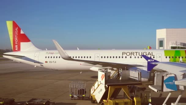 Tap airplane moving backwards undocking from jet bridge — Stock Video