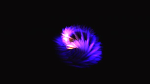 花粒子4K背景是一个美丽的股票运动图形剪辑 显示一个尖锐的光流流出像一个点燃的螺旋 叶片颗粒与柔软的螺旋相结合 使一个急躁 奇妙的美学 — 图库视频影像