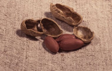 Yağ, fıstık ezmesi yapmak için fıstık bileşimi. Onun için harika