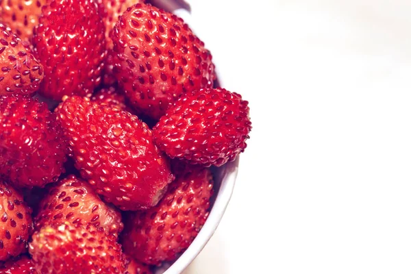 Hink med röda vilda jordgubbar på vit bakgrund — Stockfoto