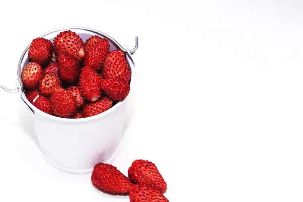 Hink med röda vilda jordgubbar på vit bakgrund — Stockfoto