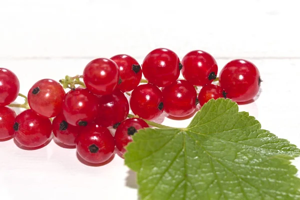 Saftige Johannisbeere. frische rote Johannisbeere isoliert auf weißem Hintergrund, c — Stockfoto