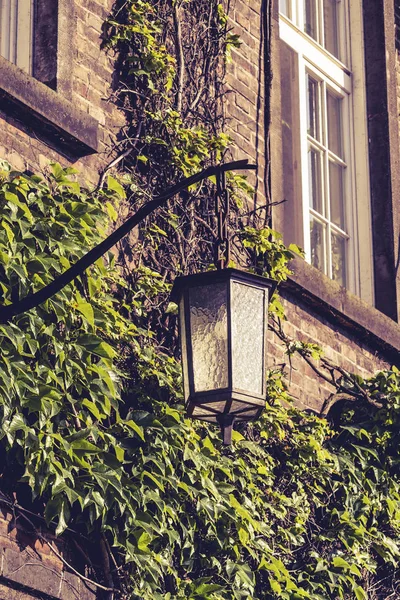 Old lantern, medieval street light  in the street on the light b