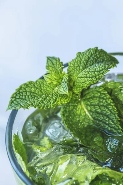 Detoks nane diyet içecek, kokteyl, sağlıklı yaz soğutucu, yakın u