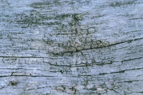 Vintage vieille texture de fond en bois. Concentration sélective.Pièce à usiner f — Photo