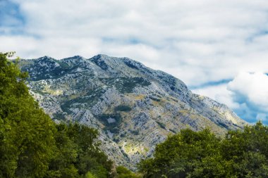 Güneşli yaz gününde güzel dağ manzarası. Karadağ, Al