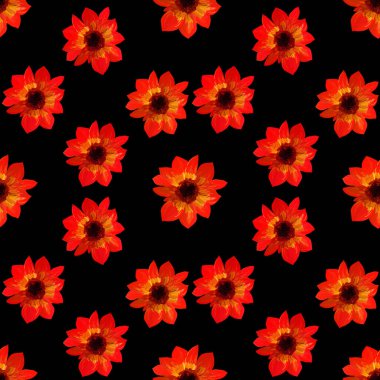 Siyah arkaplanda kırmızı astar desenleri var. Gouache boyalarının kusursuz çiçek desenleri. Tasarım ve dekorasyon için güzel özgün desen.