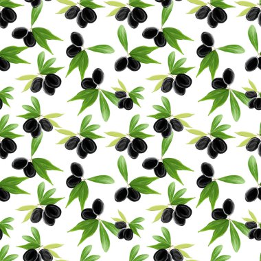 Beyaz zemin üzerinde zeytin dalı, yapraklar ve siyah zeytin olan pürüzsüz bir şablon. Tekstil, ambalaj, kumaş, menü ve restoranlar için el boyaması botanik çizimi.