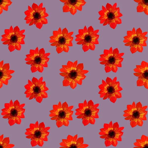 Seamless Pattern Asters Gray Background Seamless Floral Pattern Gouache Paints — Stock Photo, Image