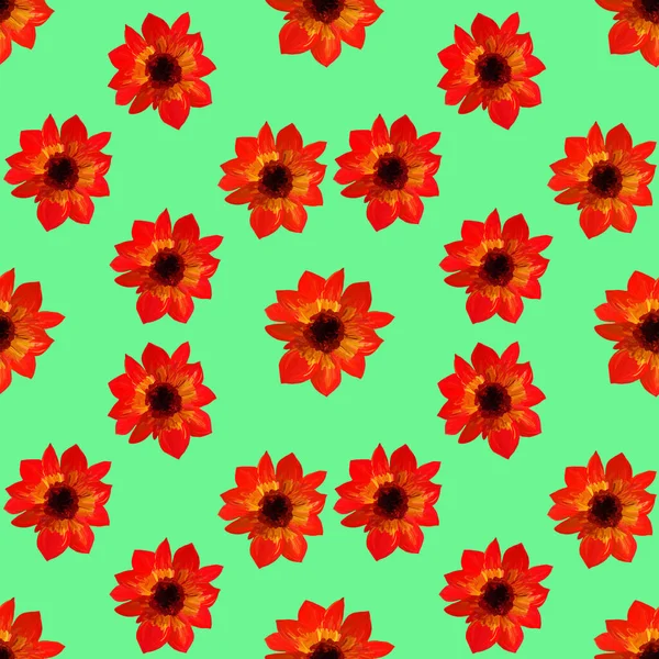 Sömlöst Mönster Aster Ljusgrön Bakgrund Sömlös Blommönster Gouache Färger Vackert — Stockfoto