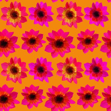 Turuncu arka planda kusursuz aster deseni var. Gouache boyalarının kusursuz çiçek desenleri. Tasarım ve dekorasyon için güzel özgün desen.