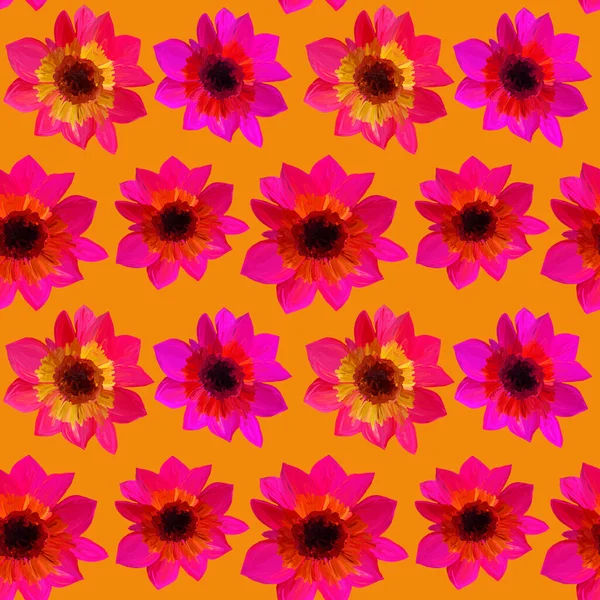 Seamless Pattern Asters Orange Background Seamless Floral Pattern Gouache Paints — Stock Photo, Image