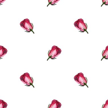 Beyaz arka planda gül çiçekleri el yapımı nazikçe. Web sayfaları için arka plan, düğün davetiyeleri, tarih kartları, tekstil, ambalaj, kumaş, duvar kağıdı,