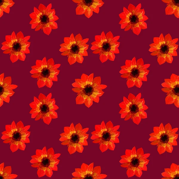 Bezproblémový Vzor Astrů Karmínovém Pozadí Bezešvé Květinové Vzory Gouache Barev — Stock fotografie