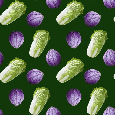 Gouache eli kırmızı ve Çin lahanaları çizilmiş güzel, pürüzsüz bir desen. Stok çizimi. Restoran menüsü, ambalaj ve tekstil için sağlıklı gıda boyası.