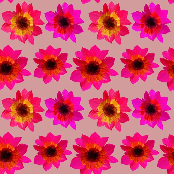 Seamless Pattern Asters Seamless Floral Pattern Gouache Paints Beautiful Original — Stock Photo, Image