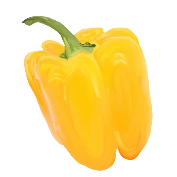 Dolce peperone giallo isolato, disegnato a mano guazzo illustrazione su sfondo bianco — Foto Stock
