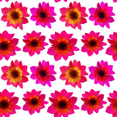 Beyazda izole edilmiş pürüzsüz astar desenleri. Gouache boyalarının kusursuz çiçek desenleri. Tasarım ve dekorasyon için güzel özgün desen