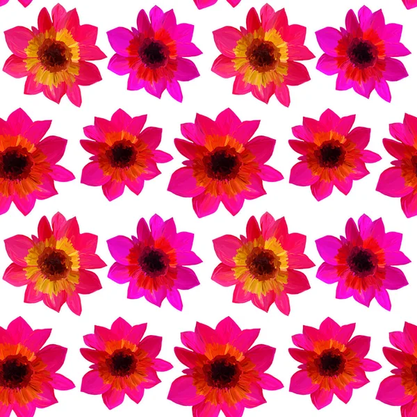 Seamless pattern of asters isolated on white. Seamless floral pattern of gouache paints. Beautiful original pattern for design and decoration — Stock Photo, Image