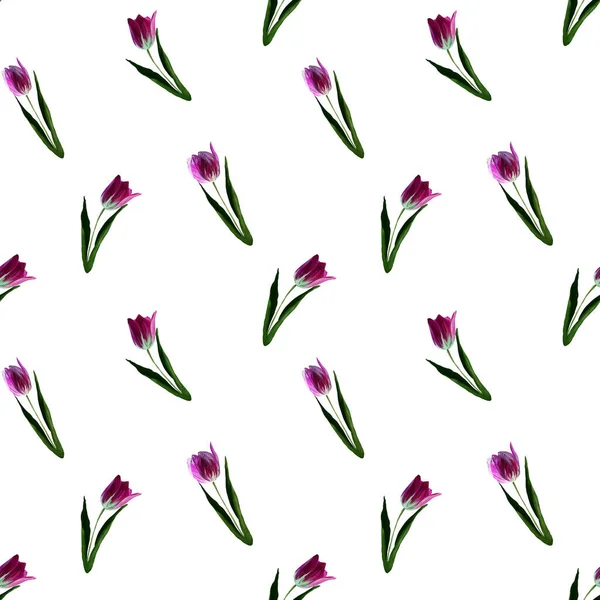 Gouache Floral Tulip White Backgraund Seamless Colorful Spring Pattern Painted — Stock Photo, Image