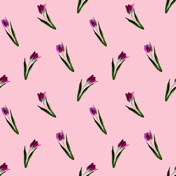 桃花郁金香在粉红的背兰花上 没有缝隙的五彩缤纷的春天图案 漆成紫丁香的植物 紫罗兰 — 图库照片