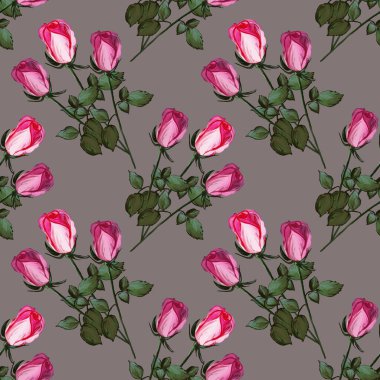 Güllerden yapılmış çiçek desenli. Gri arka planda pembe çiçek tomurcukları olan bir resim. Kumaş ve tekstil için botanik illüstrasyon, ambalaj, duvar kağıdı, kart
