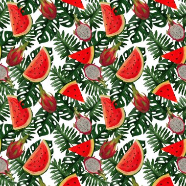 Ejderha meyvesi, karpuz, beyaz zemin üzerinde tropik yapraklar olan modern, pürüzsüz desenli yaz atmosferi. Tekstil, ambalaj ve kumaşlar için el boyaması botanik çizimi