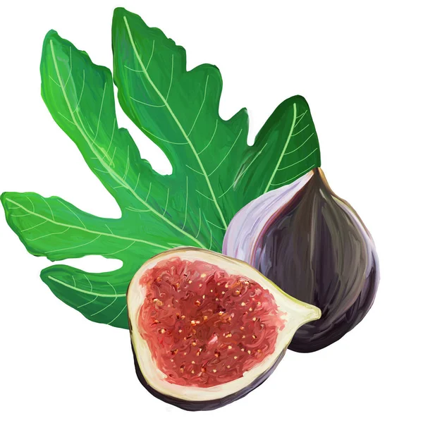Fig set di elementi dei cartoni animati. l'intero frutto esotico, foglia di fico, fichi tagliati su sfondo bianco. Colori viola, rosso, verde — Foto Stock