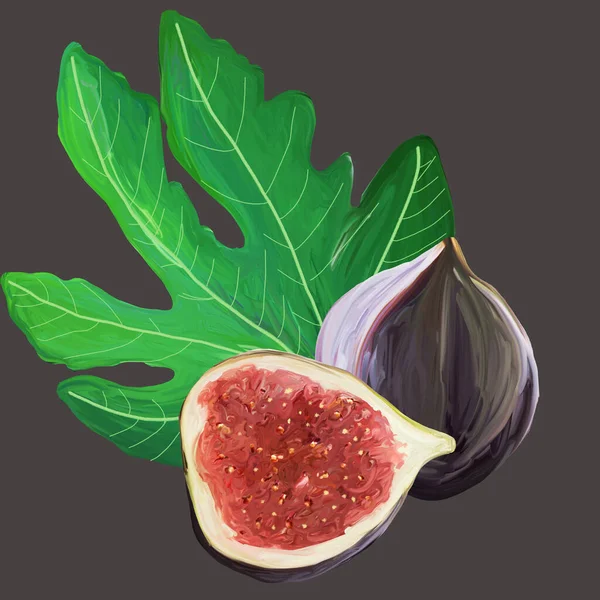 Fig Cartoon Elements Set Whole Exotic Fruit Fig Leaf Cut — Stock Photo, Image