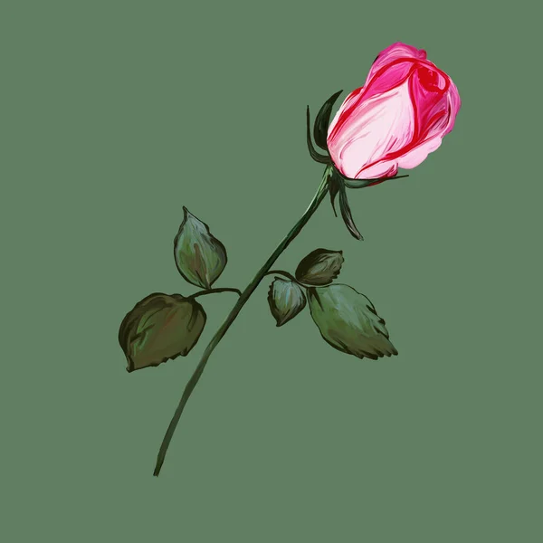 Realistic pink ross petals leaves bud. illustration of graphic design of rose, icon, art sketch sketch, logo, blooming bud, flower branch, use in print, hand draw.