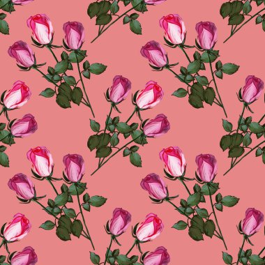 Güllerden yapılmış çiçek desenli. Pembe arka planda pembe çiçek tomurcukları olan bir resim. Kumaş ve tekstil için botanik illüstrasyon, ambalaj, duvar kağıdı, kart.